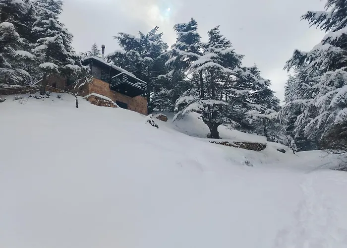 Cedar Scent Guesthouse
