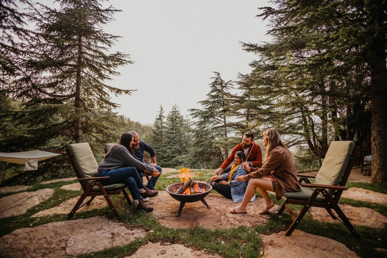 Cedar Scent البترون