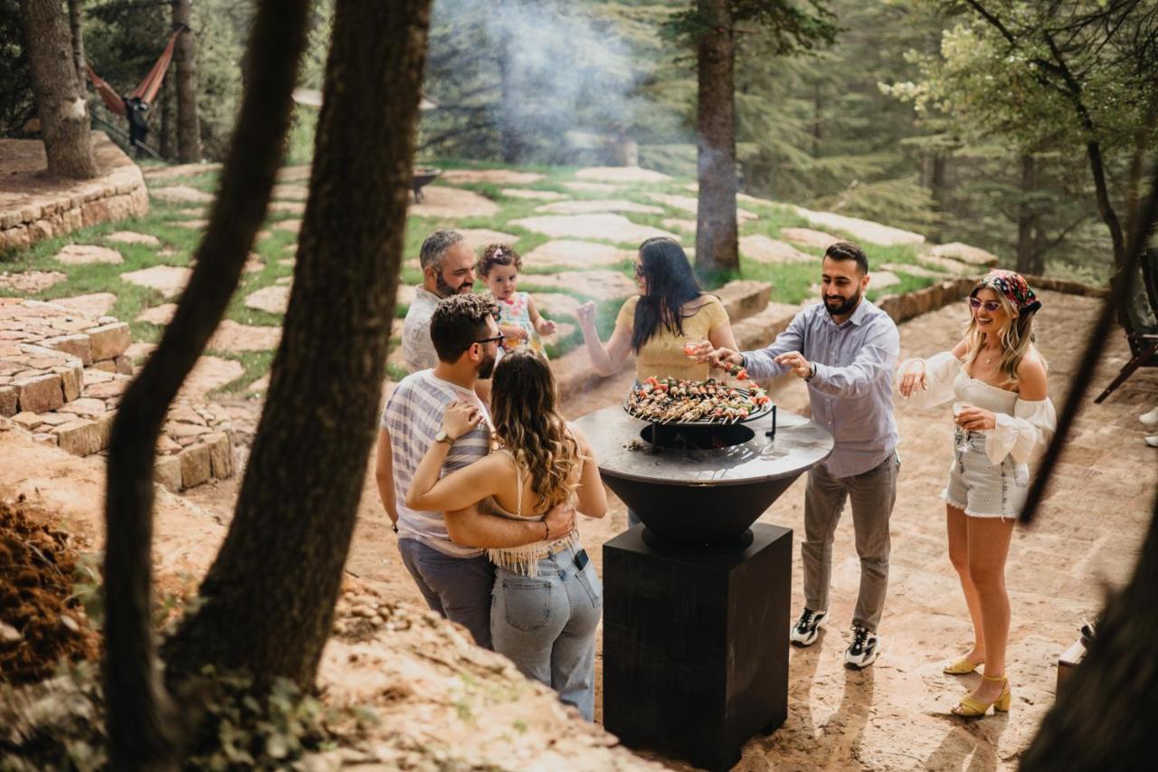 Cedar Scent البترون